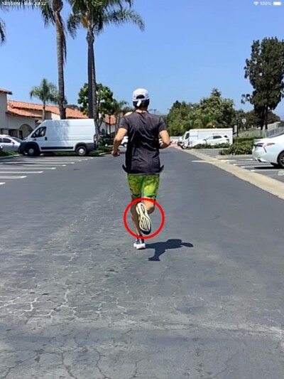 Step 1: Run Evaluation
